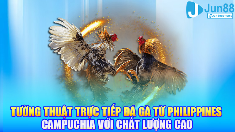 Tường thuật trực tiếp đá gà từ Philippines, Campuchia với chất lượng cao